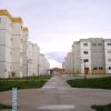 Obra Entregue Flores